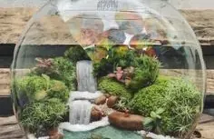 Terrarium Acquatico