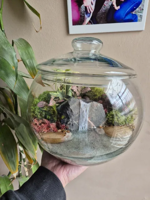 Terrarium Modello 2
