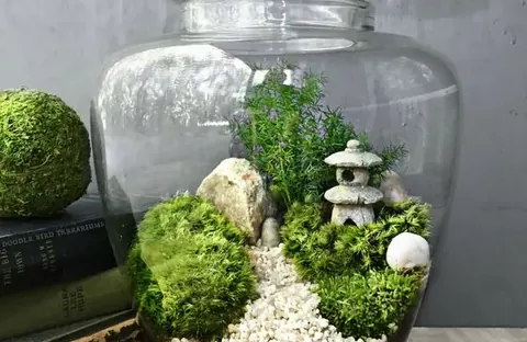 Terrarium Giapponese